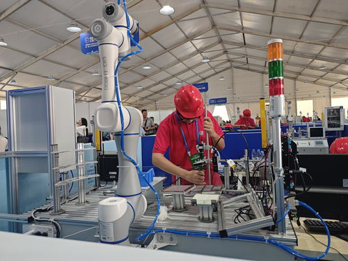 河南省第三屆職業技能大賽在開封開幕，技術服務引領未來